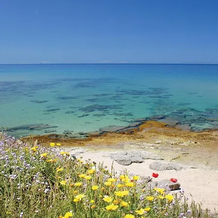 Awesome In Costa Rei -ca- With Wifi アパート *